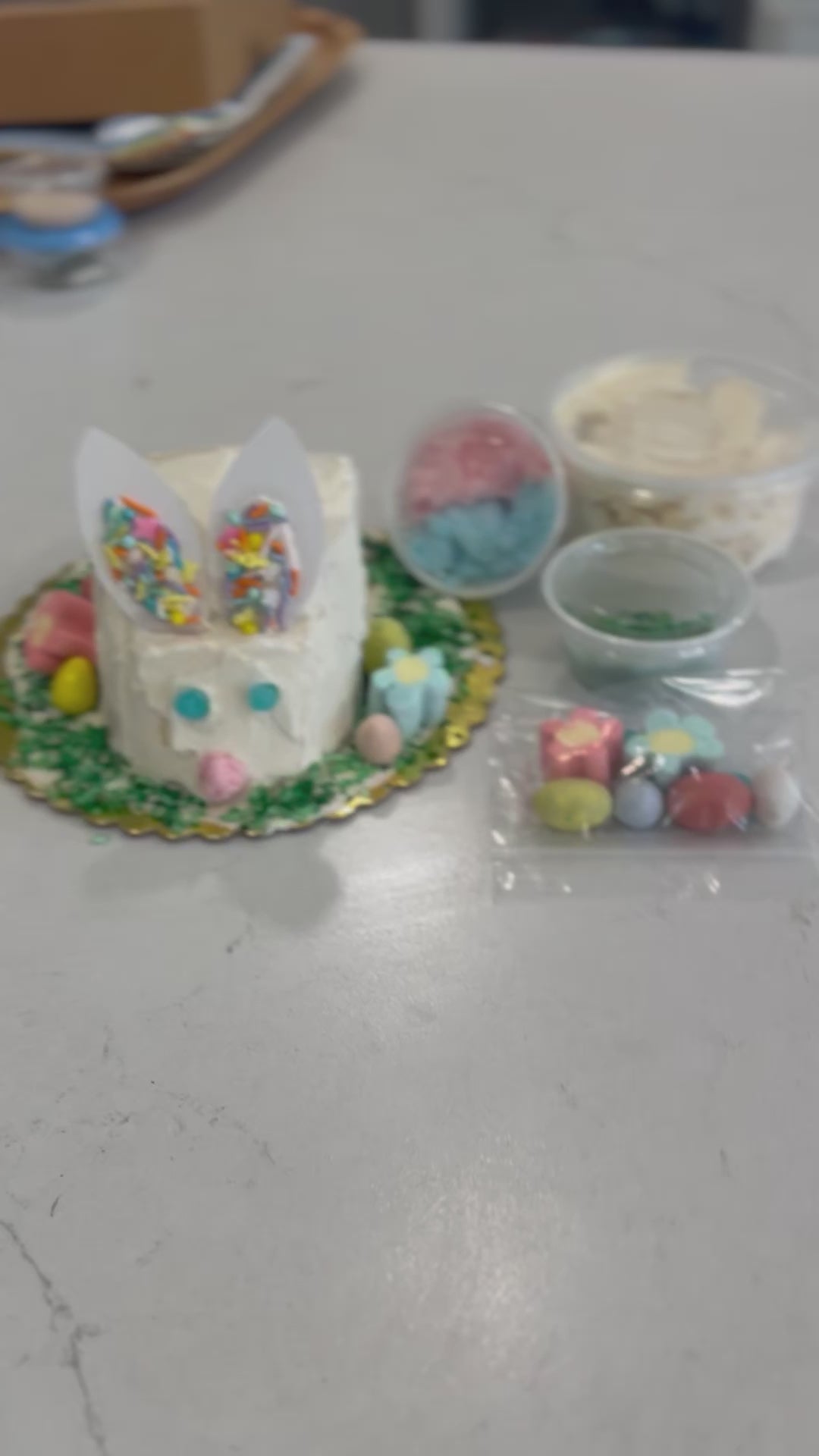 DIY Bunny Cake Kit